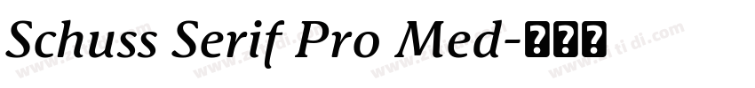 Schuss Serif Pro Med字体转换